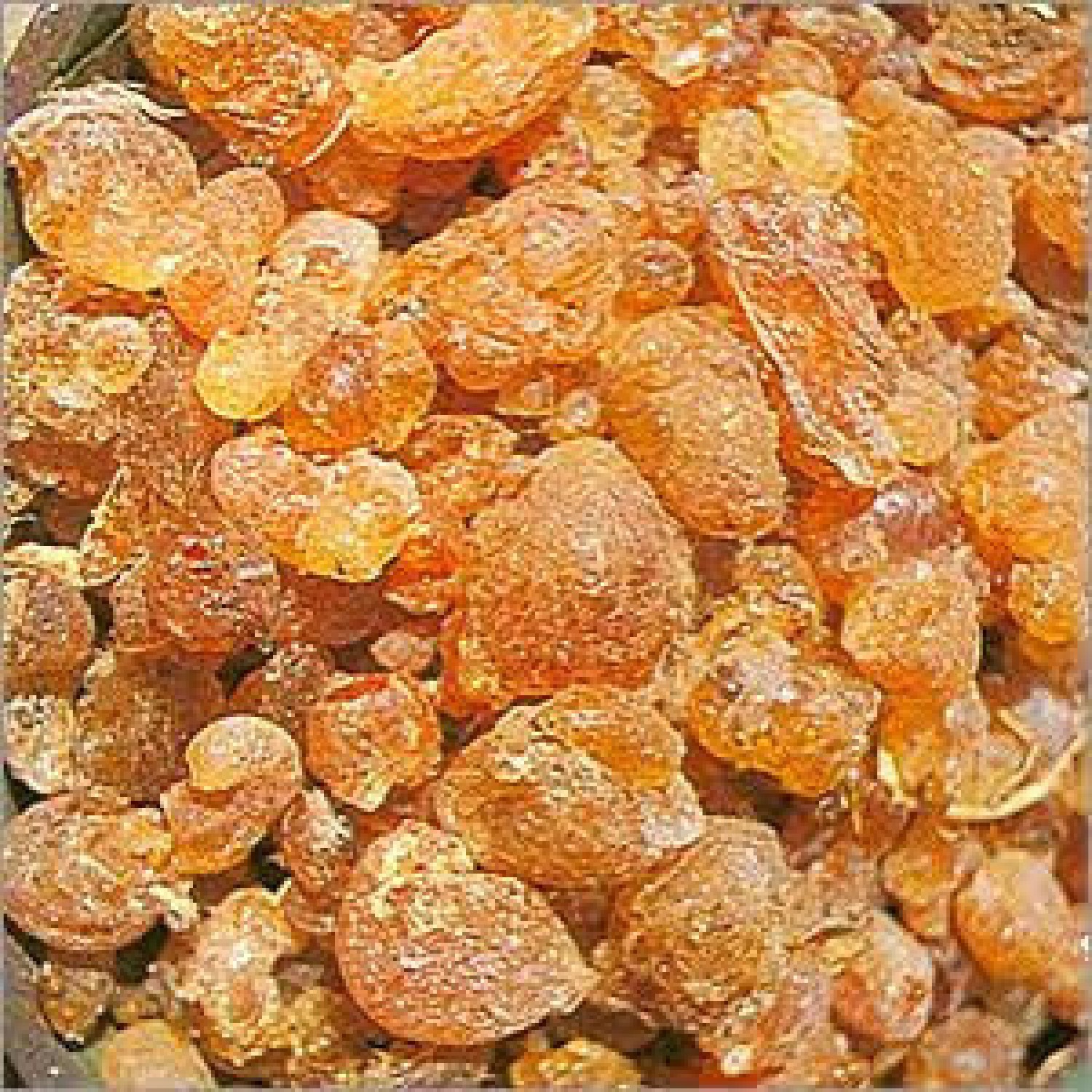 Sahelian Commodities & General Enterprises Ltd
