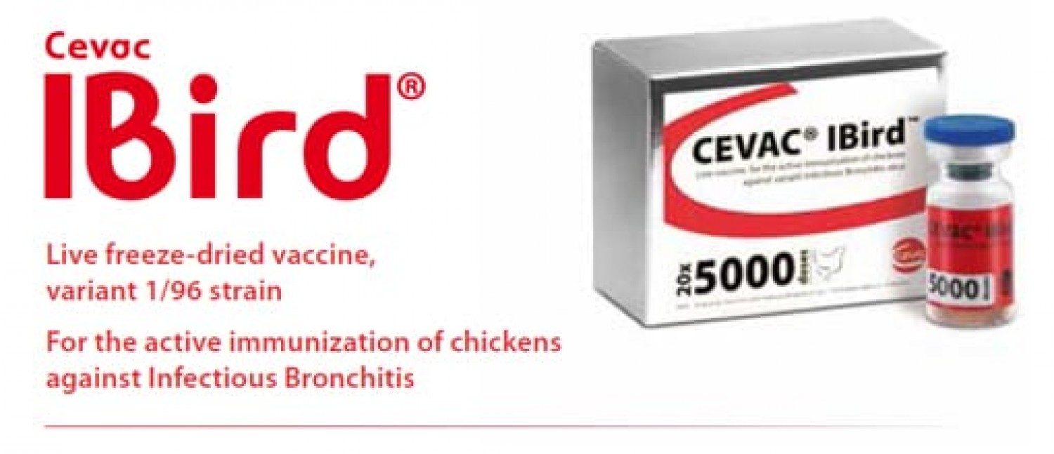 We Sell chicken vaccines, and injections