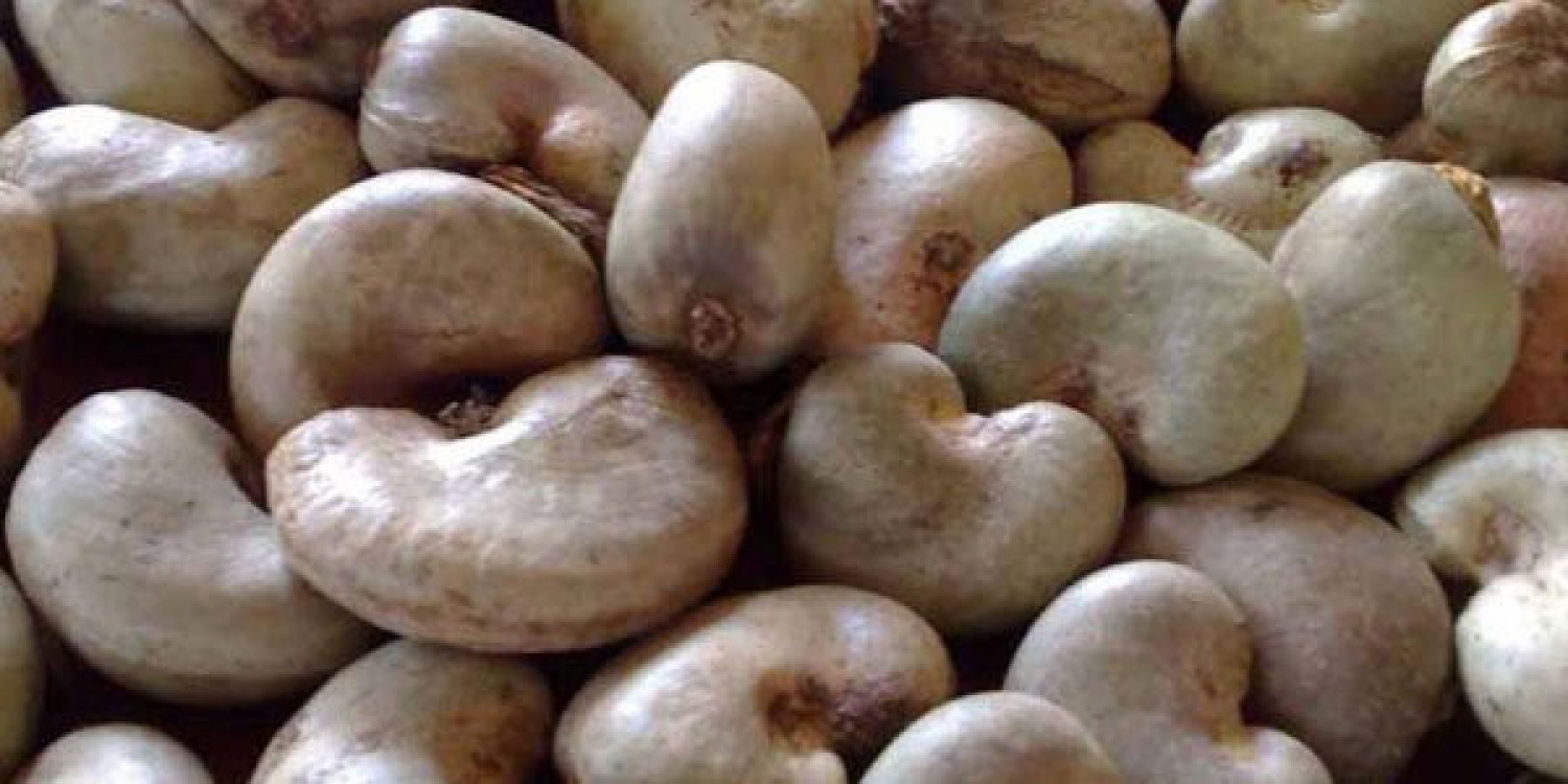 We Export Raw Cashew Nuts, Hibiscus Flowers and Sesame seeds