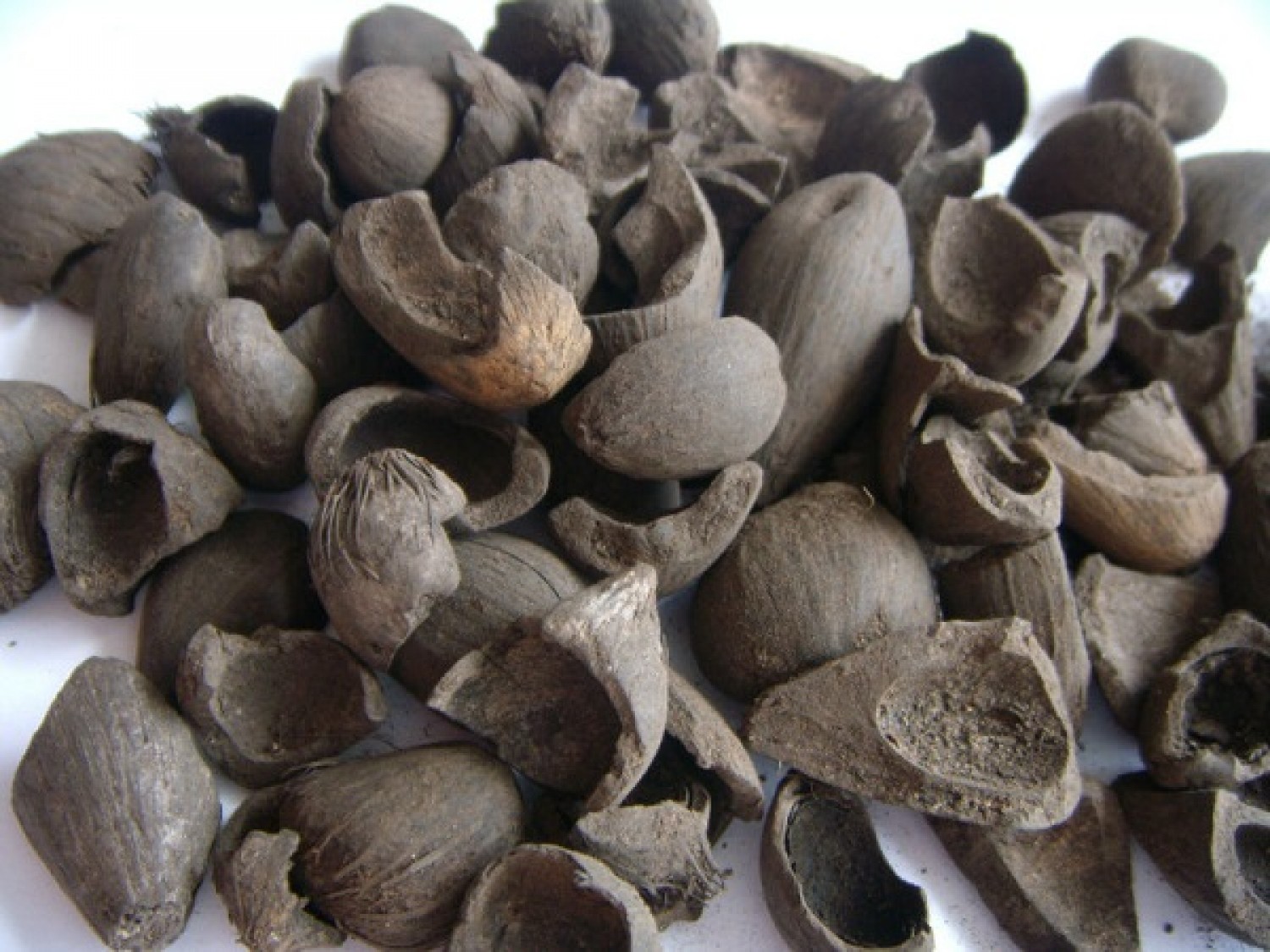 We major exportation of Agro-allied products
