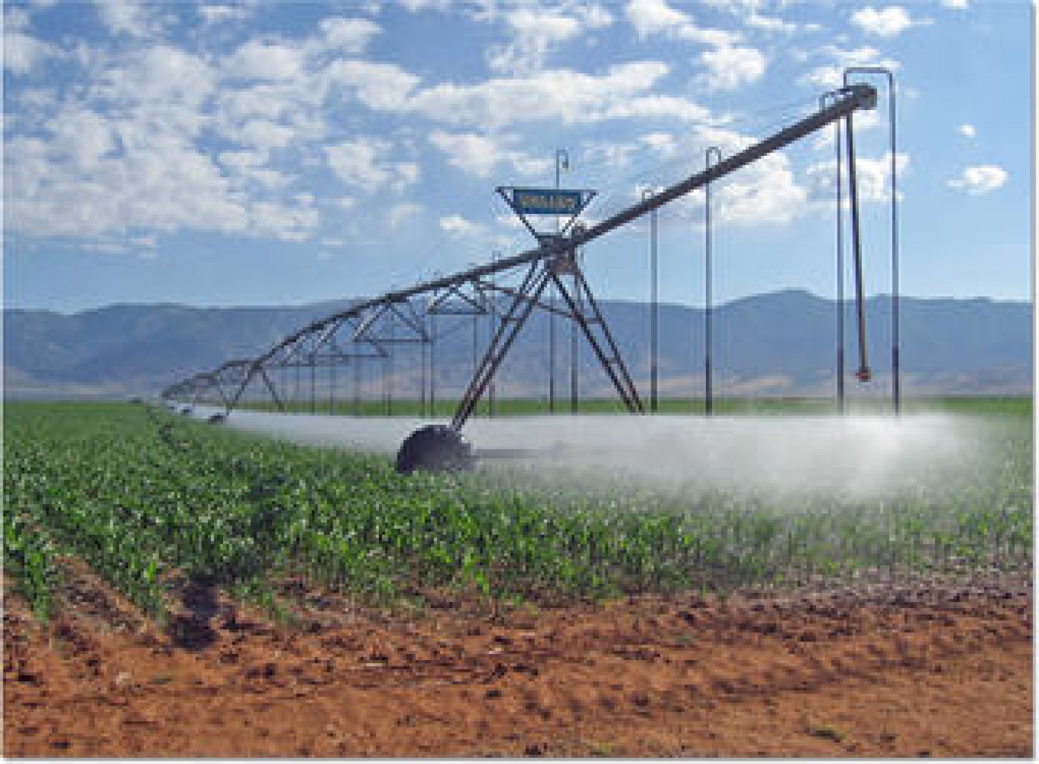 Also offers drip irrigation repairs and unblocking/replacement of emitters.
