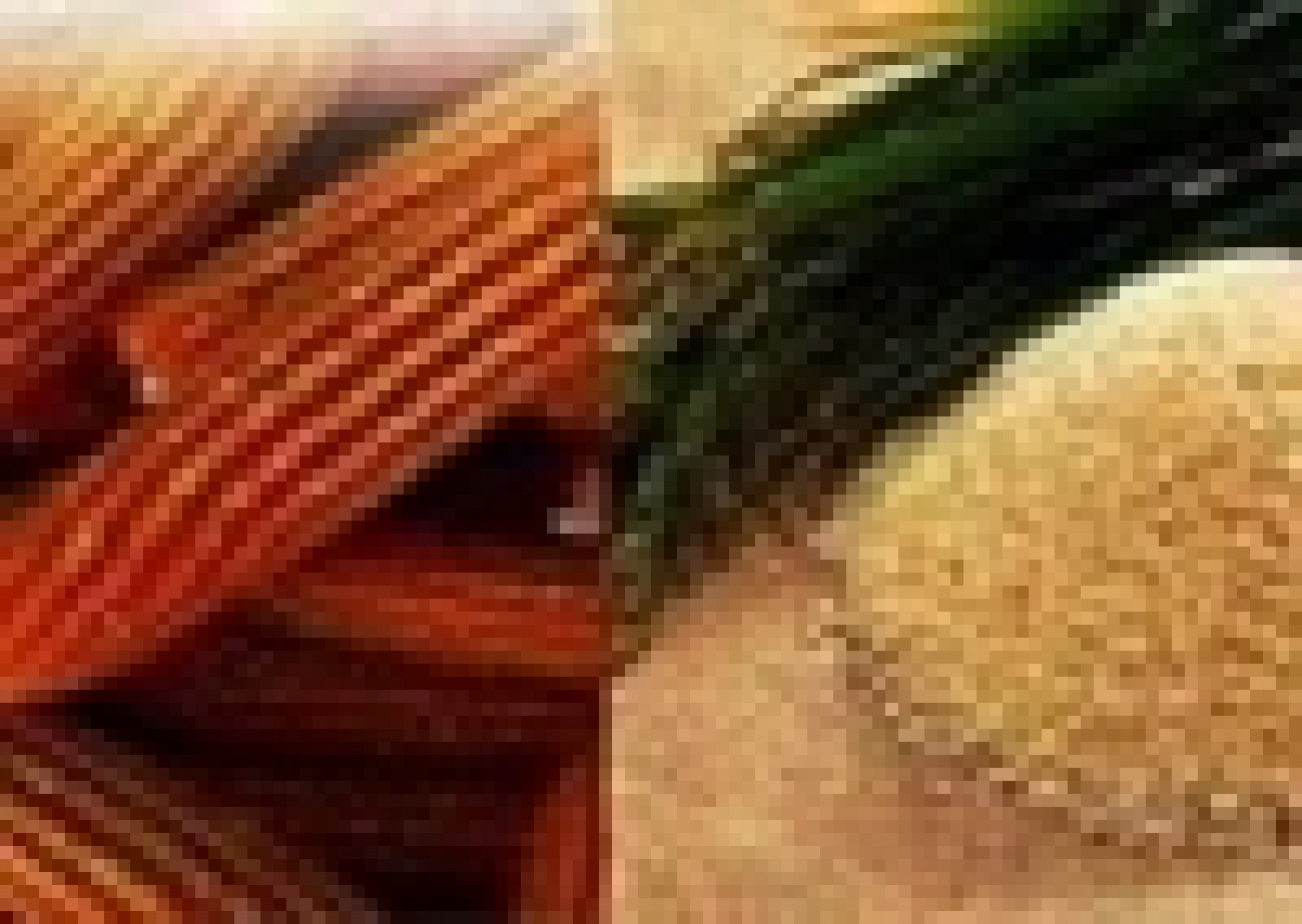 storage/files/ng/64/165e221b1061747ac092336520221767.jpg